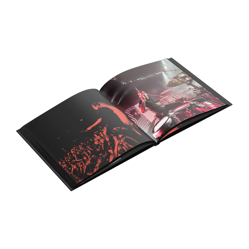 Blurryface (10th Anniversary) Vinyl Coffee Table Book | Twenty One Pilots