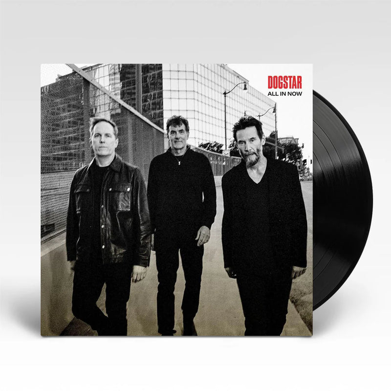 All In Now (Black Vinyl) | Dogstar