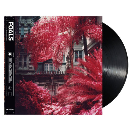Everything Not Saved Will Be Lost Part 1 - Vinyl