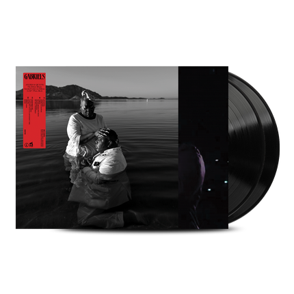 Angels & Queens - Standard LP