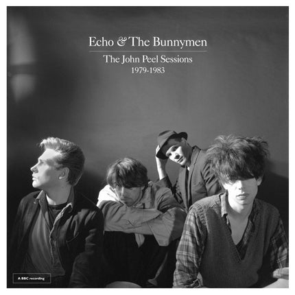 The John Peel Sessions 1979-1983 (Vinyl)