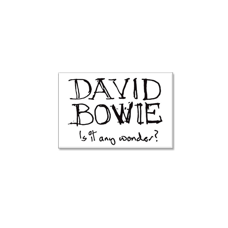 Is it any wonder? Vinyl Sticker