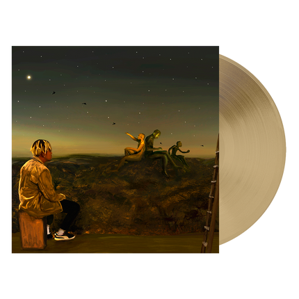 From A Birds Eye View Tan Vinyl