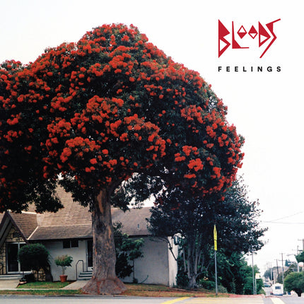 Bloods Feelings CD