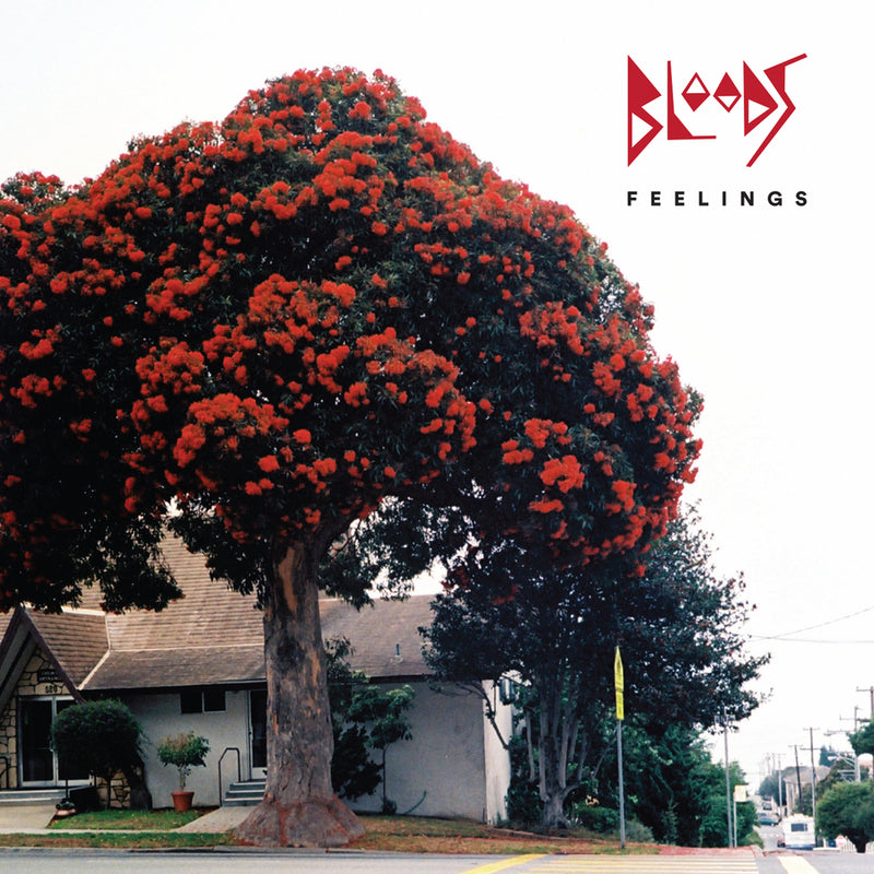 Bloods Feelings CD