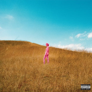 Further Joy (Vinyl)